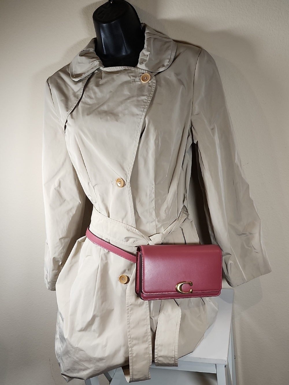 Coach Bandit Belt Bag - Picture 3 of 16